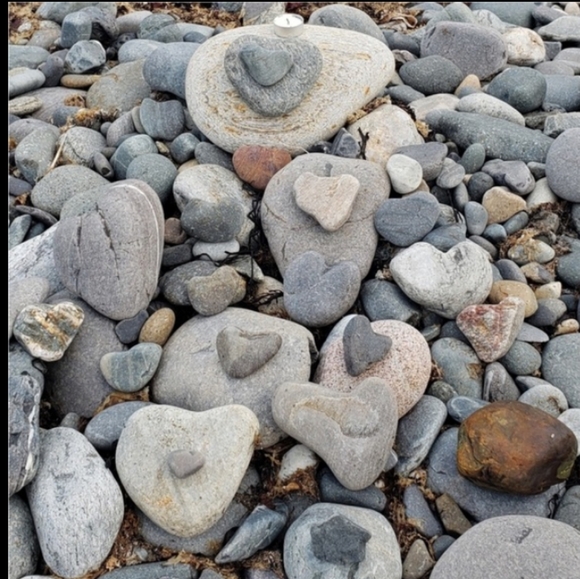 🐦 BLUEBIRD FRAMED ART LOOKS LIKE Stained Glass 🐦 Nature lovers GREAT GIFT 🎁 - Picture 13 of 16